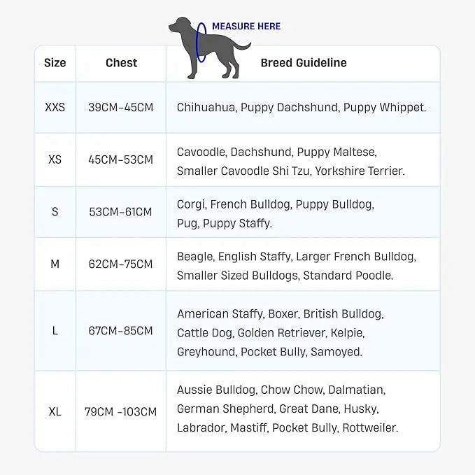 Dog Friendly Co. Harness - Easy to Fit No-Pull Design - Safe Secure and Comfortable - Ideal for All Dogs - Chafe-Resistant Lightweight Straps - Adjustable Straps for Perfect Fit