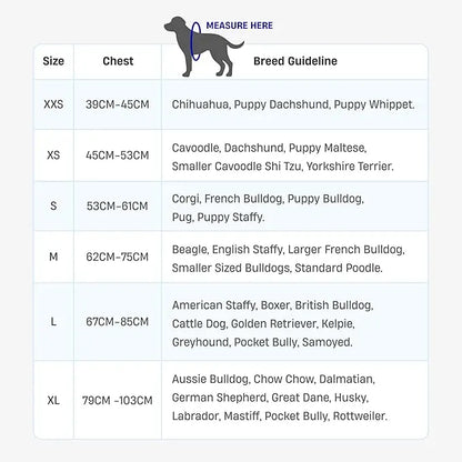 Dog Friendly Co. Harness - Easy to Fit No-Pull Design - Safe Secure and Comfortable - Ideal for All Dogs - Chafe-Resistant Lightweight Straps - Adjustable Straps for Perfect Fit