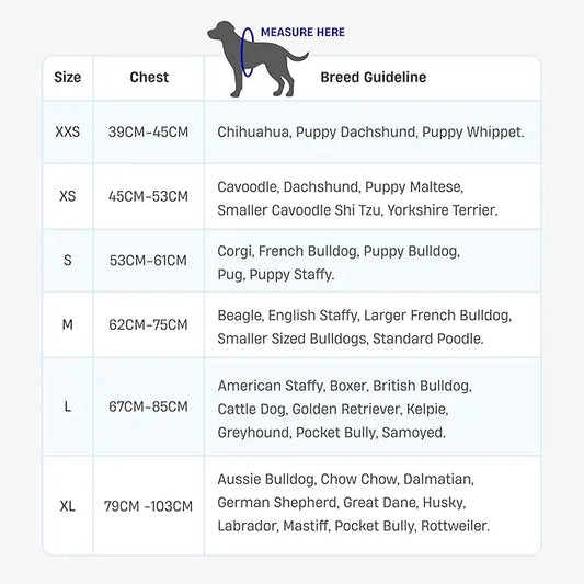 Dog Friendly Co. Harness - Easy to Fit No-Pull Design - Safe Secure and Comfortable - Ideal for All Dogs - Chafe-Resistant Lightweight Straps - Adjustable Straps for Perfect Fit
