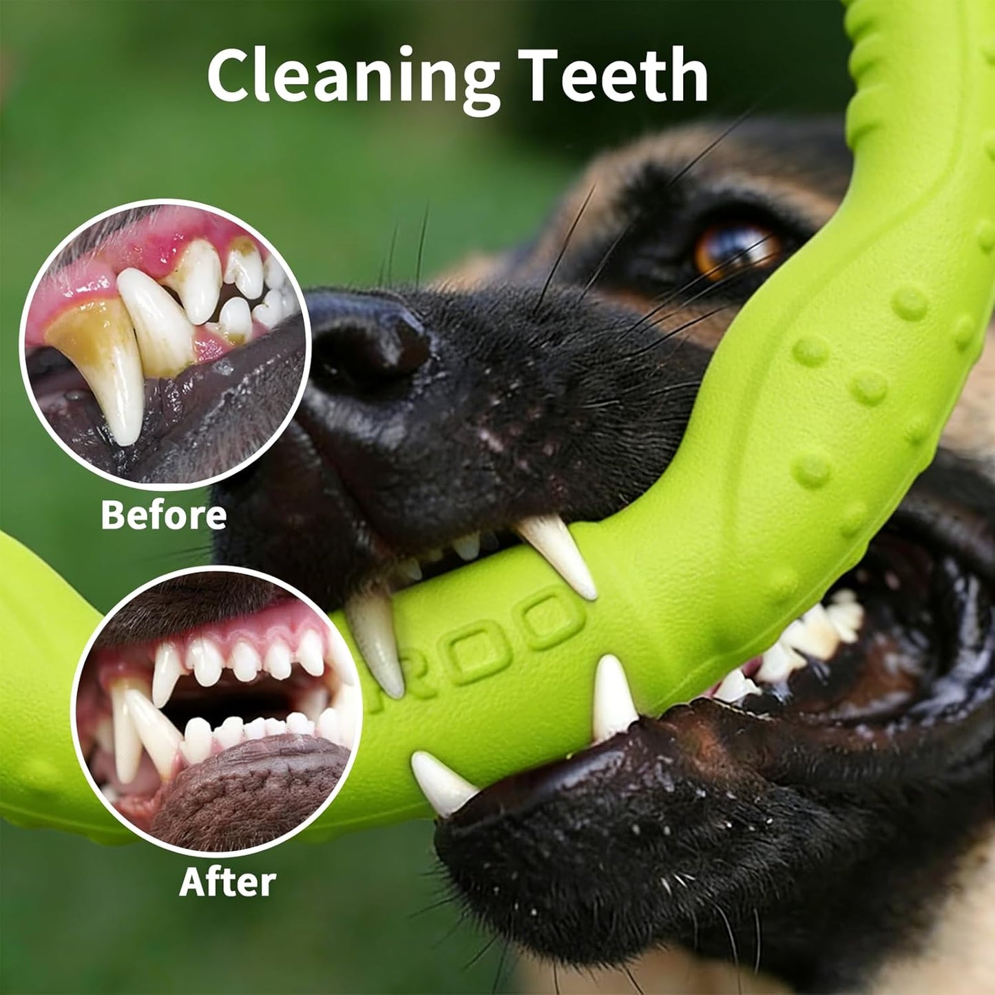 Dog Ring Toy - Durable Flying Ring for Fetch, Water Play & Training | Tough Chew-Proof Design for Aggressive Chewer Breeds, Easy-Throw Lightweight Frisbee for Medium/Large Dogs(Green/30Cm)
