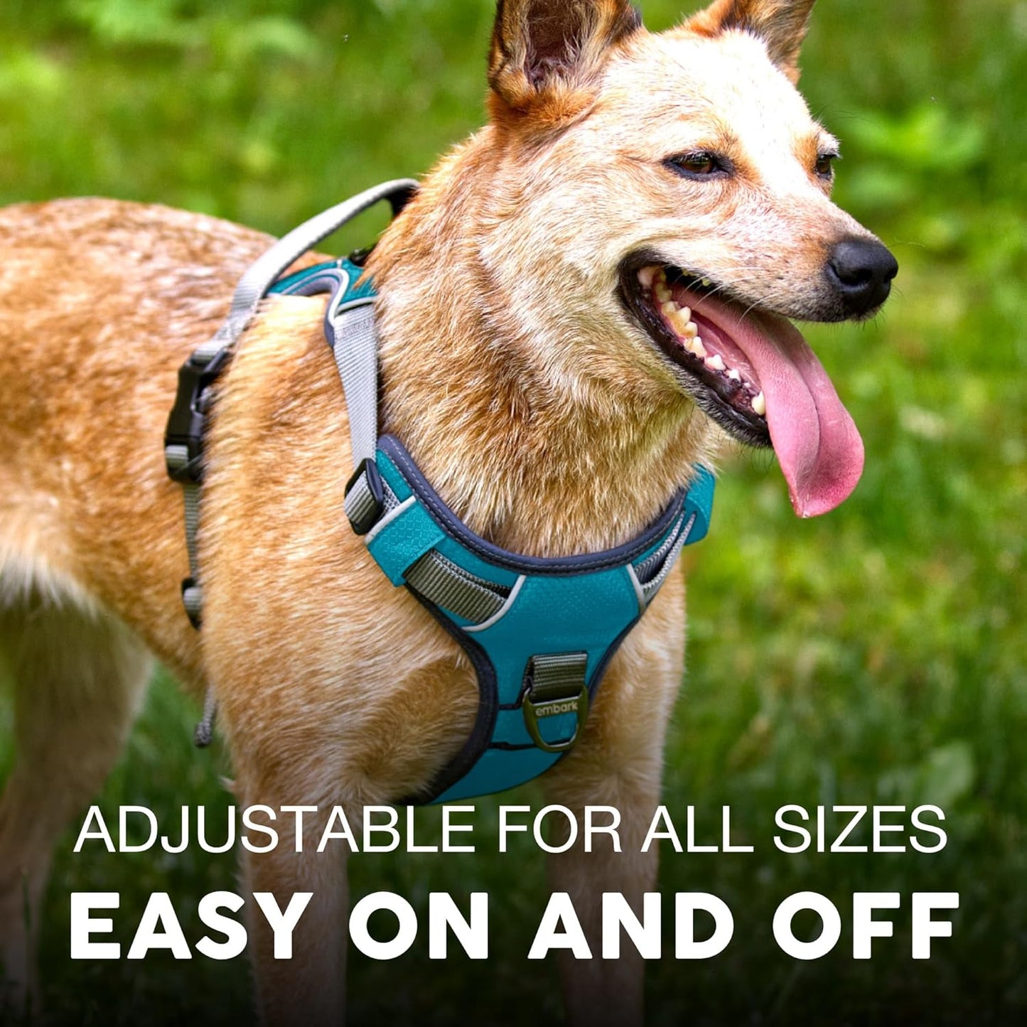 Embark Adventure XL Dog Harness – No-Pull, Reflective Trim, Military-Grade Nylon, 2 Leash Clips with Gel-Lined Handle, Soft & Padded