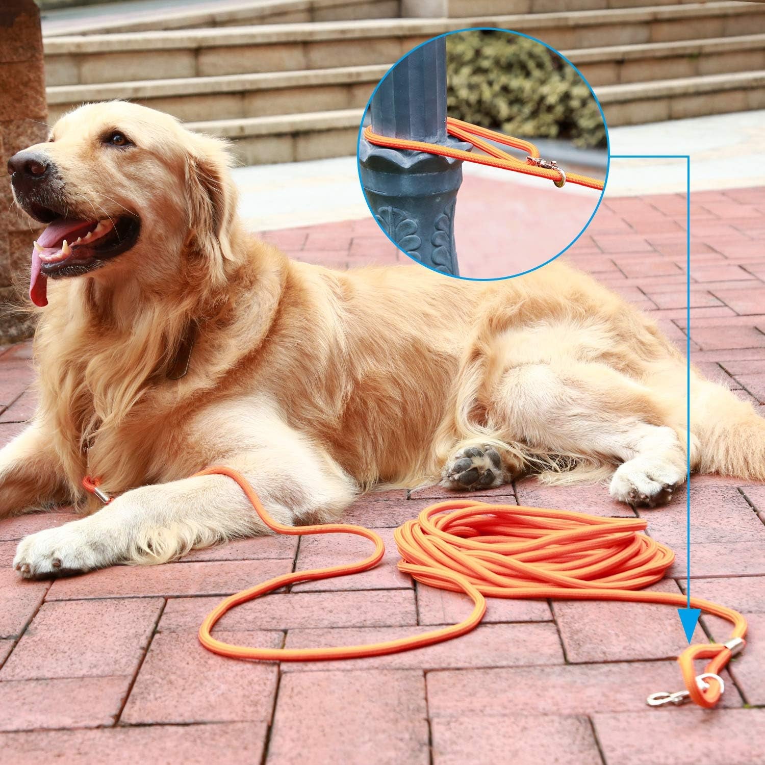 Check Cord Large,Medium Small Dogs/Puppy Obedience Recall Training Agility Lead - 15Ft 30Ft 50Ft Training Leash(15Ft, Blue)